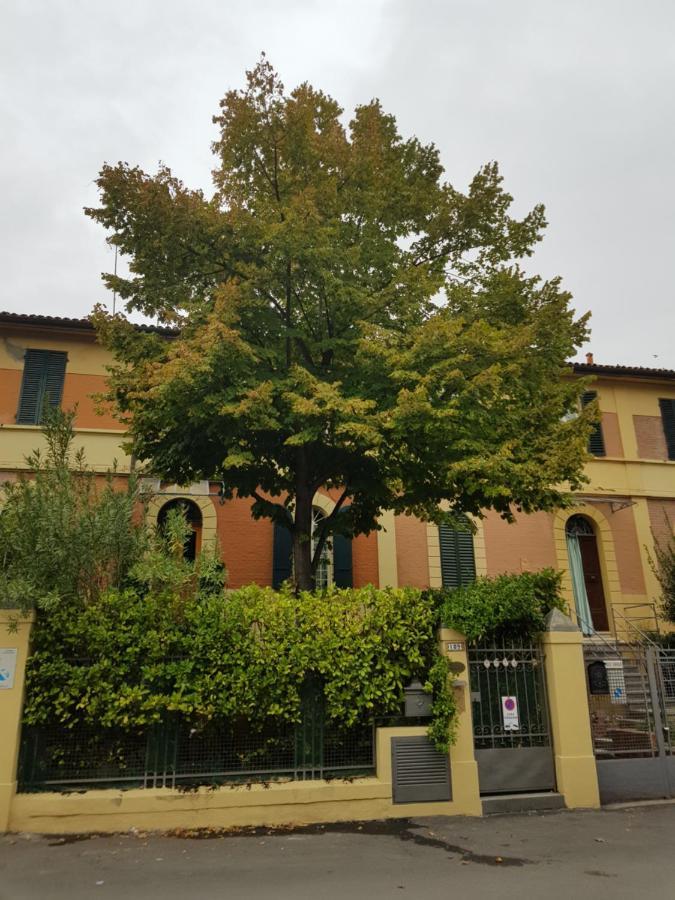 Stella Del Mar Bed & Breakfast Bologna Eksteriør bilde