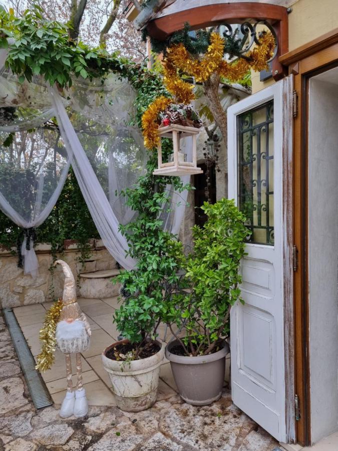 Stella Del Mar Bed & Breakfast Bologna Eksteriør bilde